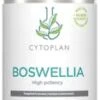 Cytoplan Boswellia 400mg 60 Capsules -Beauty Shop cytoplan boswellia 400mg 60 capsules 1c7051c6061a463beebba3986256a465948970f68c0f98054d647cf16ff41126