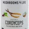 Mushrooms 4 Life Organic Cordyceps Beetroot Latte 130g 2 Mushrooms 4 Life Organic Cordyceps Beetroot Latte 130g -Beauty Shop mushrooms 4 life organic cordyceps beetroot latte 130g 1042114446